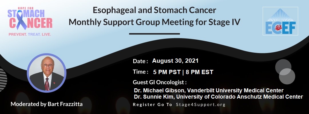 Esophageal and Stomach Cancer Monthly Support Group Meeting for Stage IV
